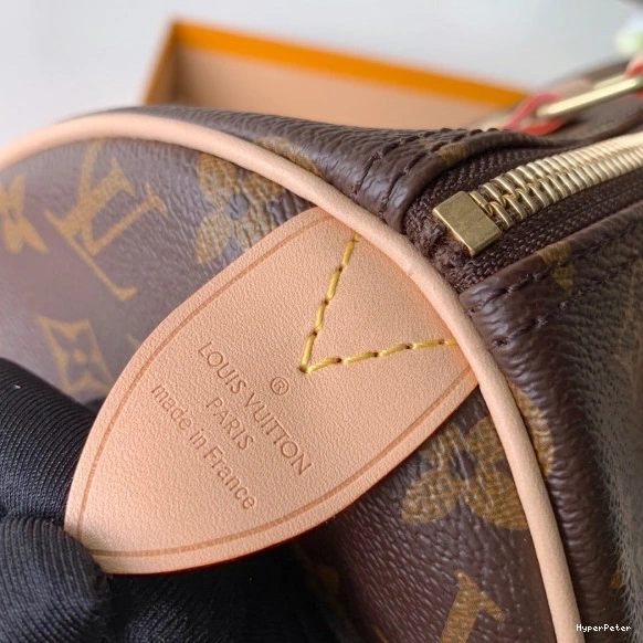 25 SPEEDY Vuitton Louis 0812
